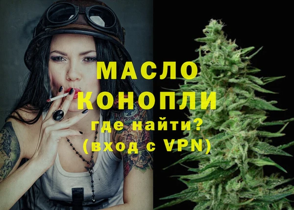 амф Вяземский