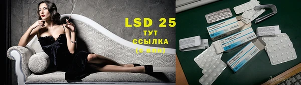 амф Вяземский