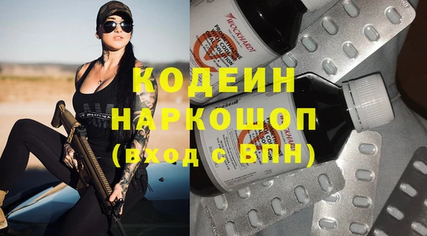 амф Вяземский