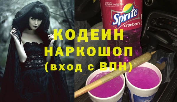 амф Вяземский