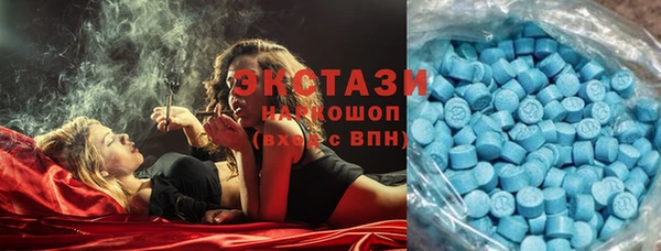 амф Вяземский