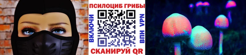 закладка  Орехово-Зуево  Псилоцибиновые грибы ЛСД 